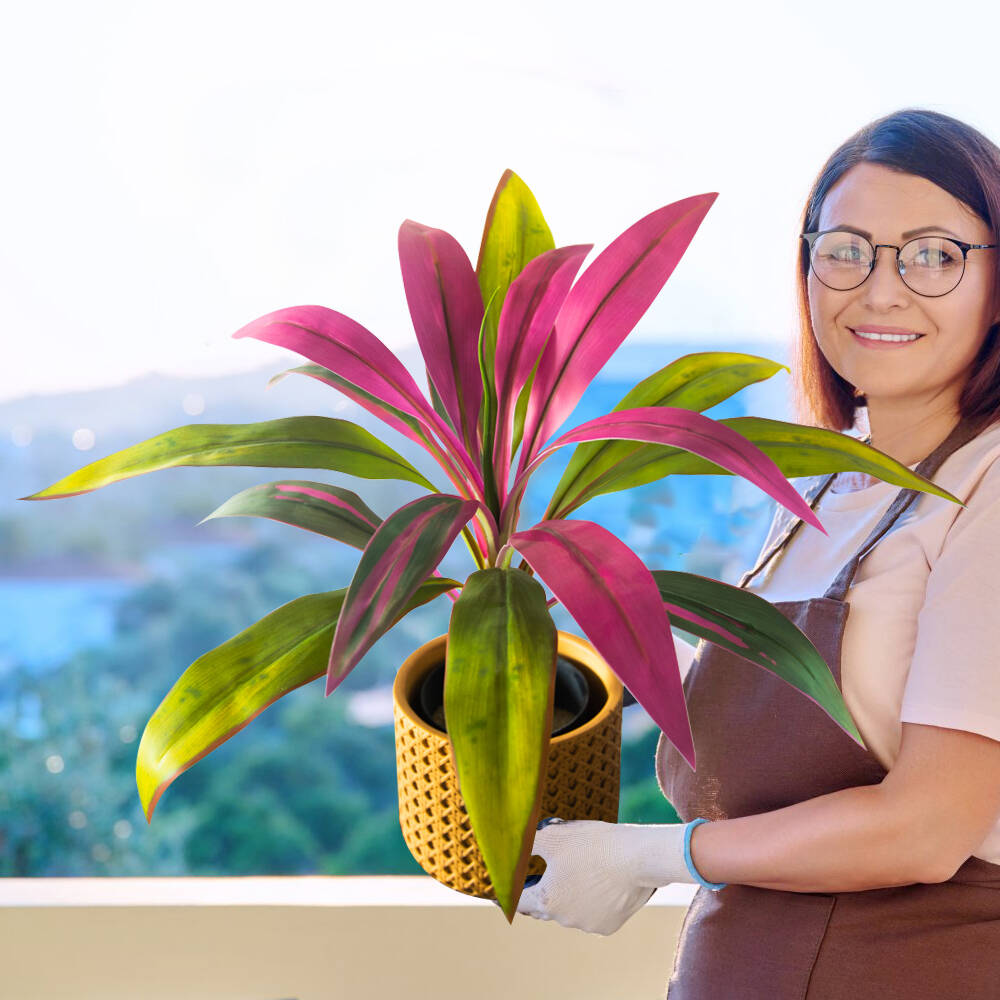 Fiddle Leaf Fig - 45cm 17Leaves Artificial Dracaena Tree Fake