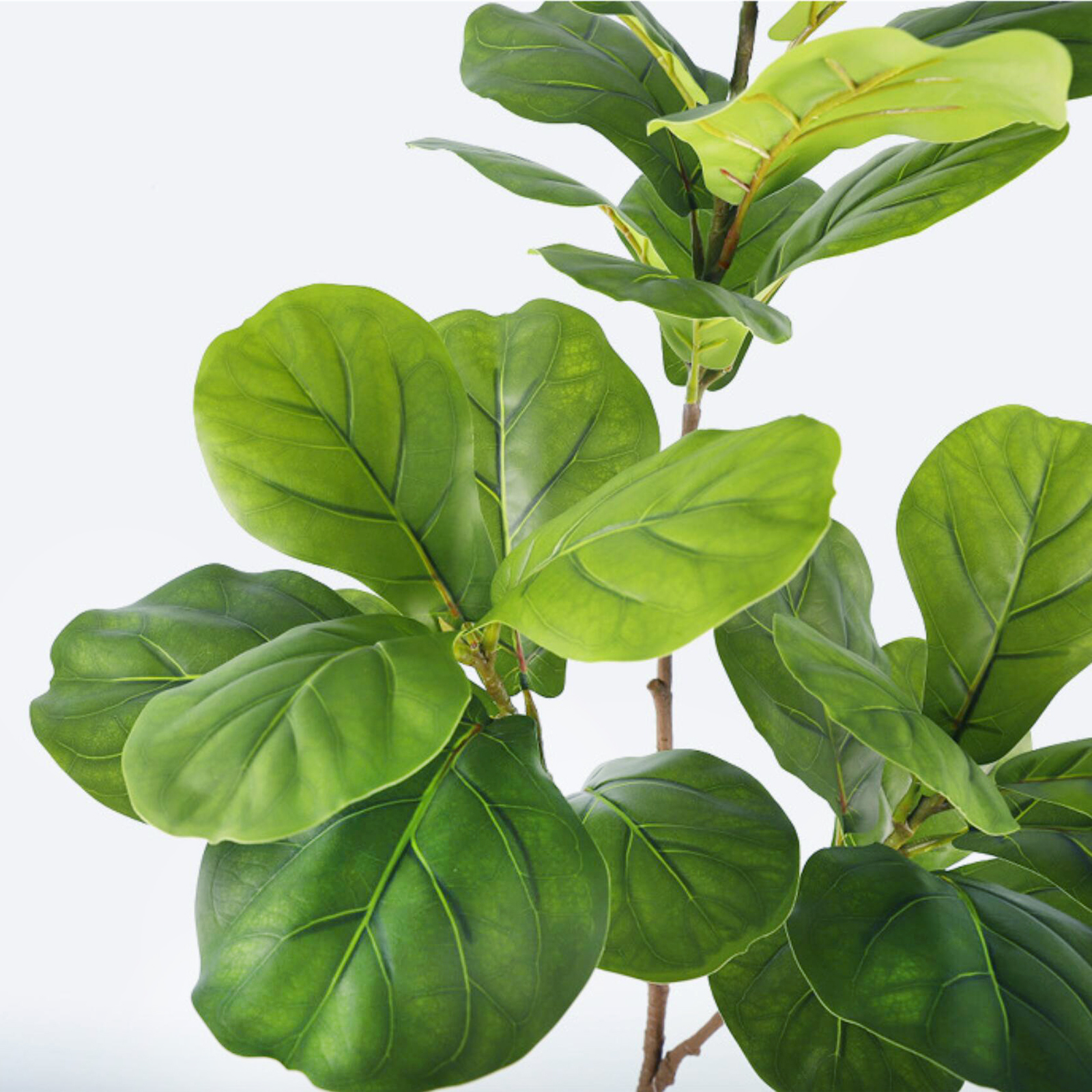 45-135cm  Artificial Fiddle Le - Fiddle Leaf Fig recensione e prezzo