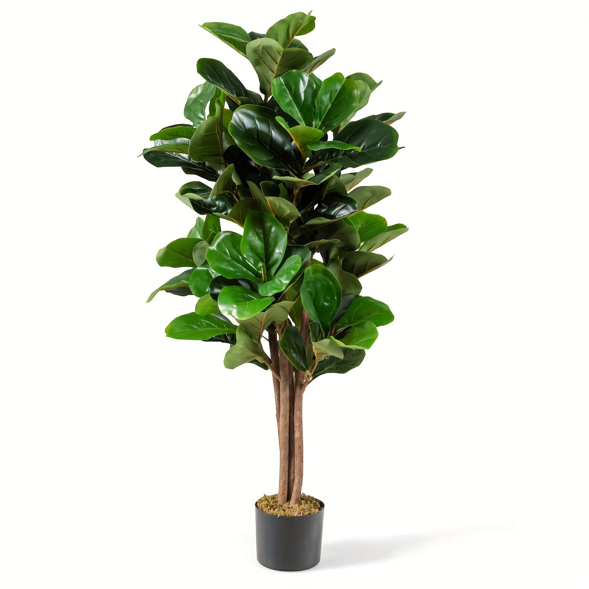 4ft Artificial Fiddle Leaf Fig - Fiddle Leaf Fig recensione e prezzo