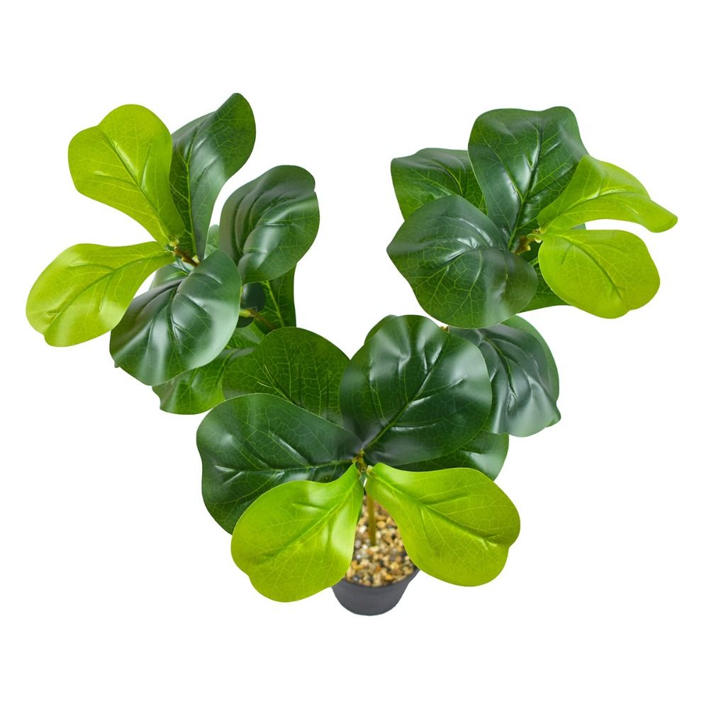Large Artificial Fiddle Leaves - Fiddle Leaf Fig recensione e prezzo