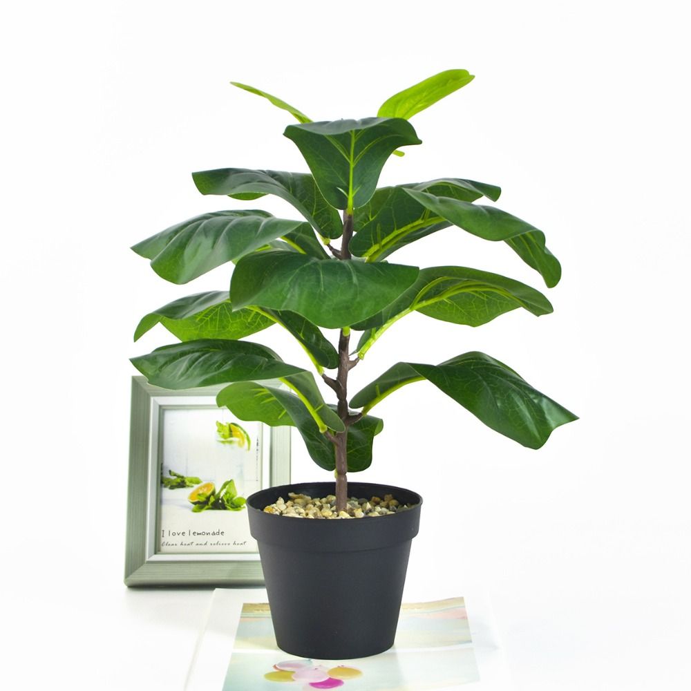 Large Artificial Fiddle Leaves - Fiddle Leaf Fig recensione e prezzo