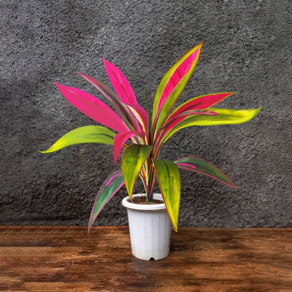 45cm 17Leaves Artificial Draca - Fiddle Leaf Fig recensione e prezzo