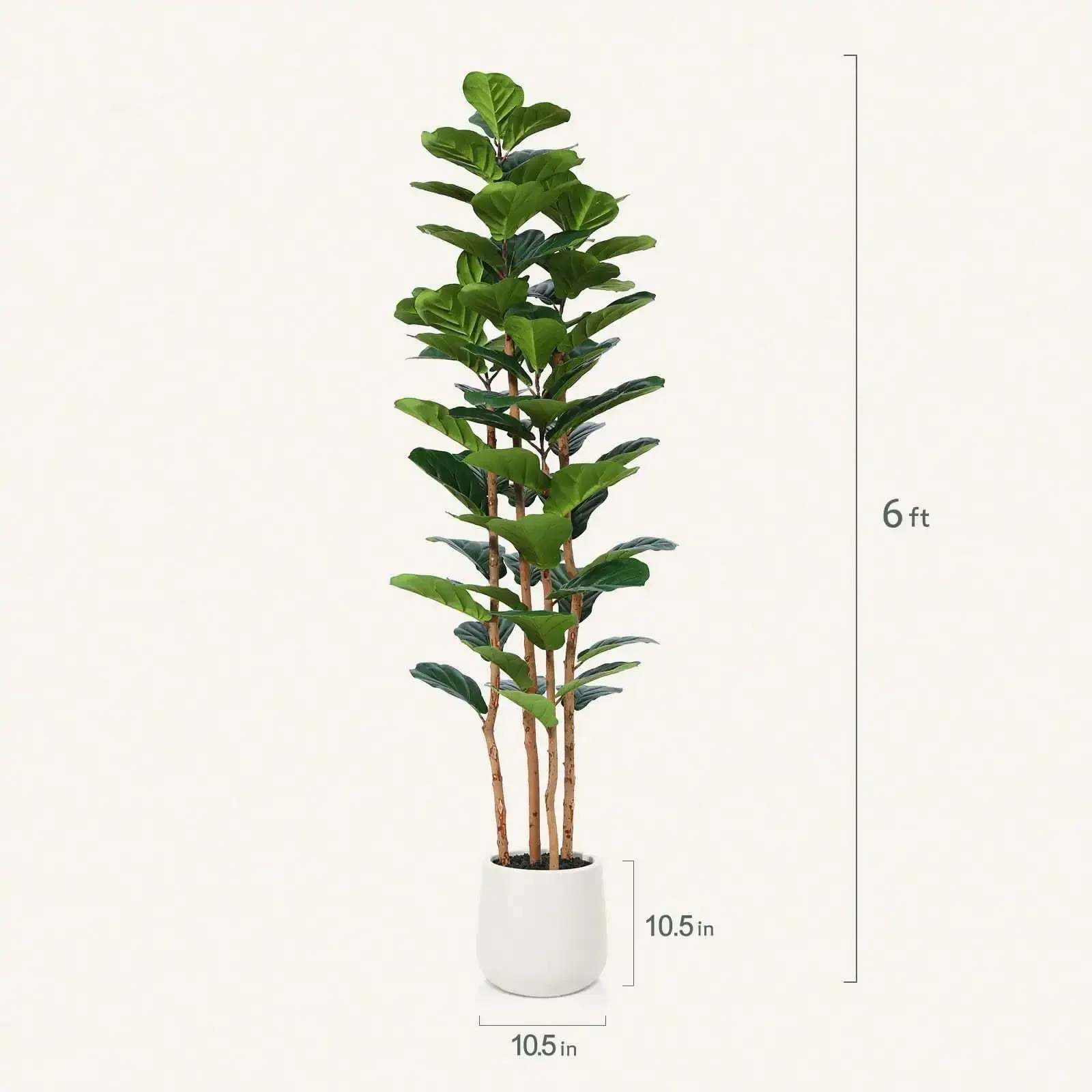 6FT Faux Fiddle Leaf Fig Tree  - Fiddle Leaf Fig recensione e prezzo